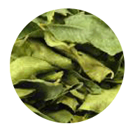 curry-leaves.png, 27kB